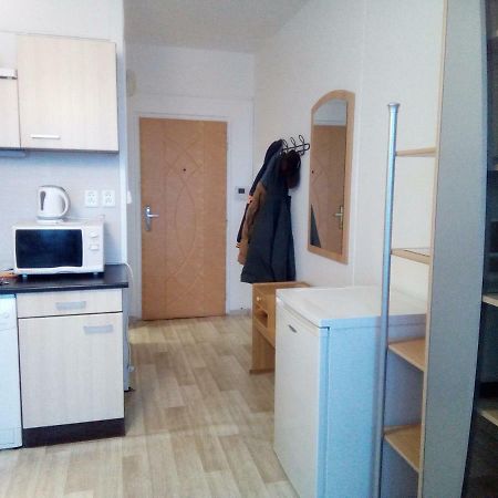 Studio Type Apartment Plzen Luaran gambar