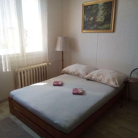 Studio Type Apartment Plzen Luaran gambar